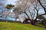 DSC01284