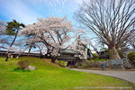 DSC01287