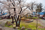 DSC01302