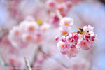 DSC02029
