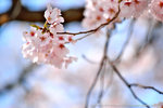 DSC02041