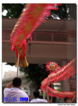 P1030292