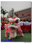 P1030338