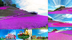 Cover_DSC05856