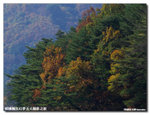 PA252104