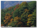 PA252112