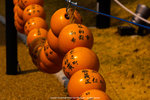 P1170230