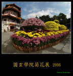 PC248924