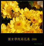 PC248966