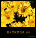 PC248968