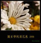 PC248972