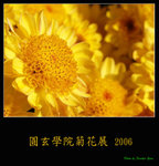PC248975