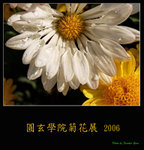 PC248977
