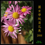 PC248978