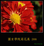 PC248981