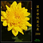 PC248991
