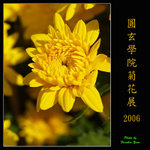 PC248994
