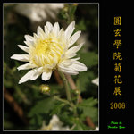 PC249005
