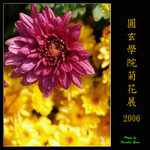PC249010