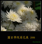PC249019