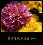 PC249023