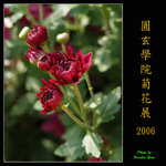 PC249028