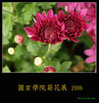 PC249037