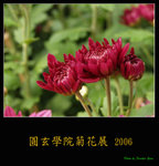 PC249039