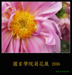 PC249061