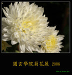 PC249072