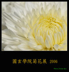 PC249078
