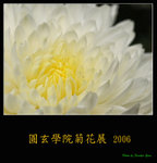PC249084