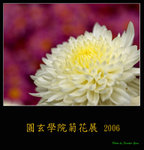 PC249087