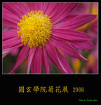 PC249091