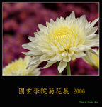 PC249095