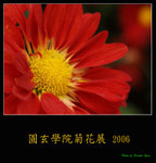 PC249107