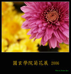 PC249114