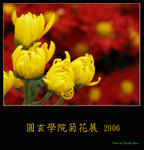 PC249118