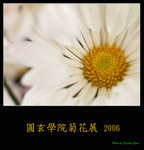 PC249129