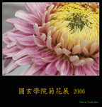 PC249139