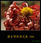 PC249154