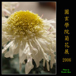 PC249156