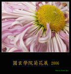 PC249161