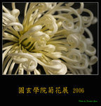PC249171