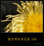 PC249181