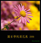 PC249215