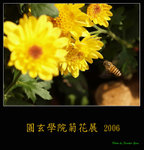 PC249233