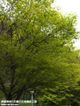 P3289690