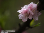 P3289766