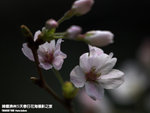 P3289771